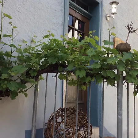 公寓 Winzerhaeuschen, Weingut Th. Mueller