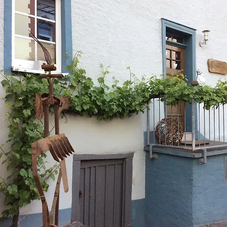Apartman Winzerhaeuschen, Weingut Th. Mueller *