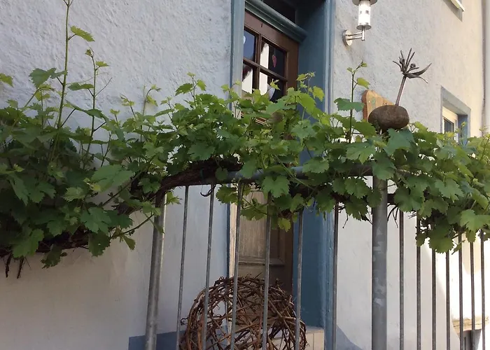 דירה Winzerhaeuschen, Weingut Th. Mueller