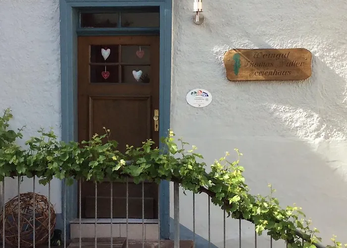 Winzerhaeuschen, Weingut Th. Mueller דירה