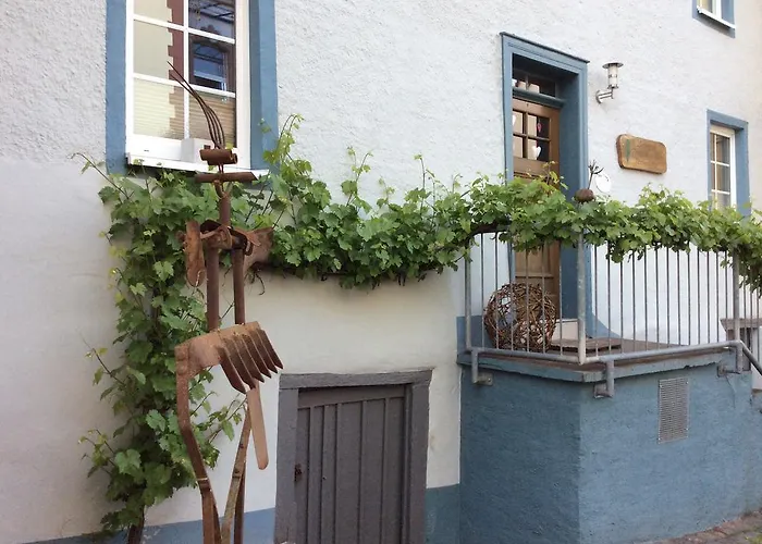 דירה Winzerhaeuschen, Weingut Th. Mueller *